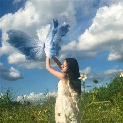 阿卡普高第二季